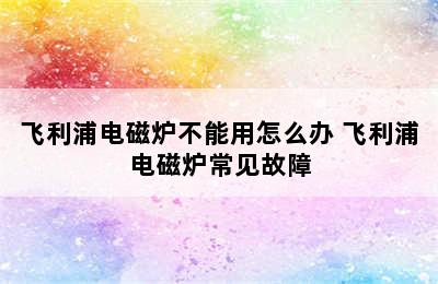 飞利浦电磁炉不能用怎么办 飞利浦电磁炉常见故障